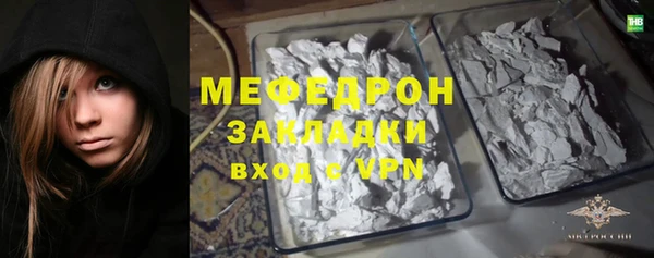 индика Заводоуковск