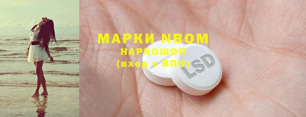 сатива Горнозаводск