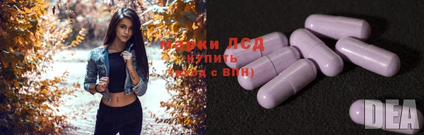 a pvp Алзамай