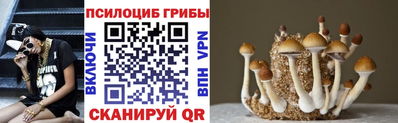Псилоцибиновые грибы мухоморы  закладки  ОМГ ОМГ ссылки  Чкаловск 